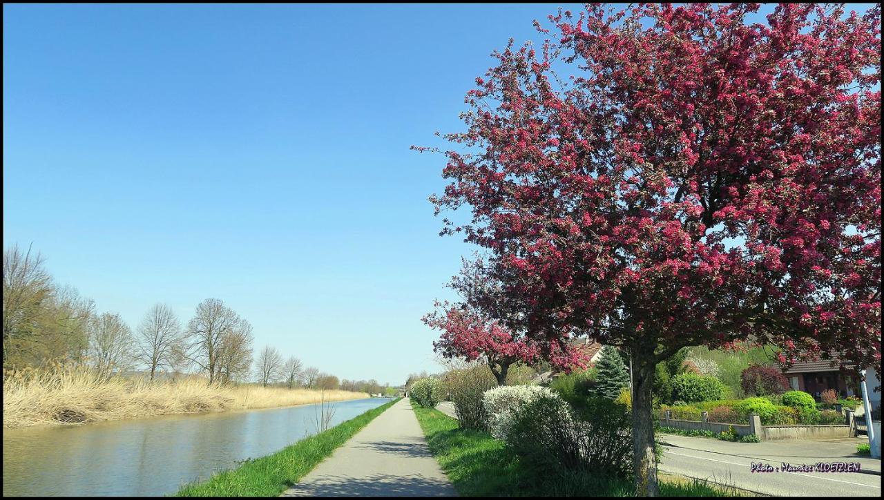Gites D'Illfurth ภายนอก รูปภาพ